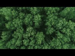 PRÉSENTATION DE LA MARQUE IKOO