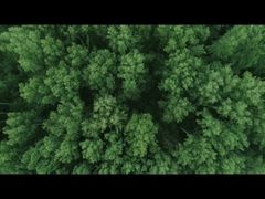 INTRODUCTION DE LA MARQUE IKOO GLASS