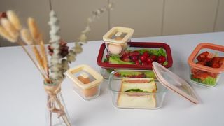 glass containers with silicone glass lid